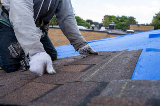 4 Ply Roofing in Rosharon, TX