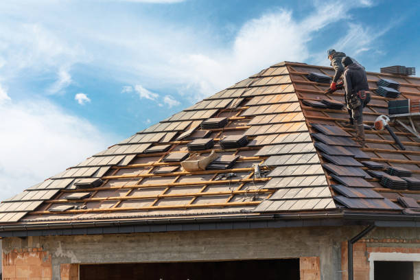 Best Roof Maintenance and Cleaning  in Rosharon, TX